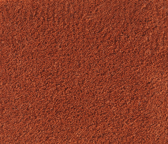 Sencillo Standard coral-35 | Formatteppiche | Kateha