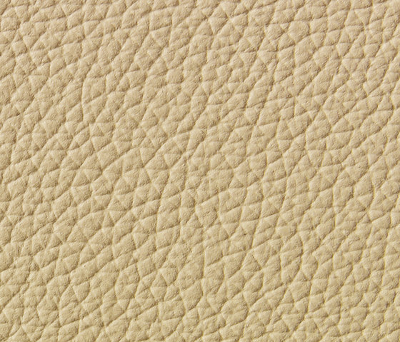 Panama 5030 | Upholstery fabrics | Montis