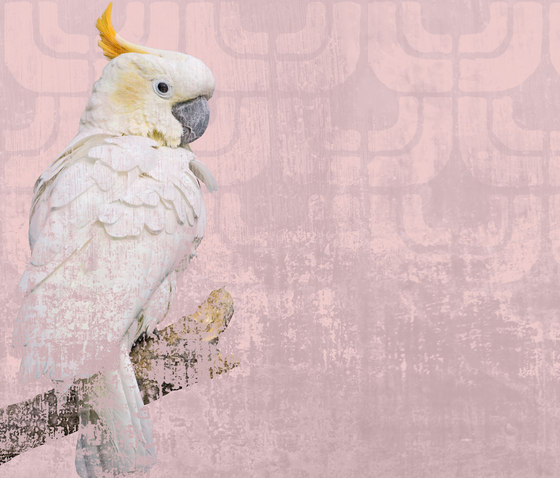Cockatoo | Arte | Wall&decò