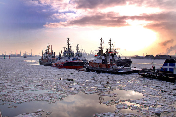 Hamburg | Tug on the icy river Elbe | Wood panels | wallunica