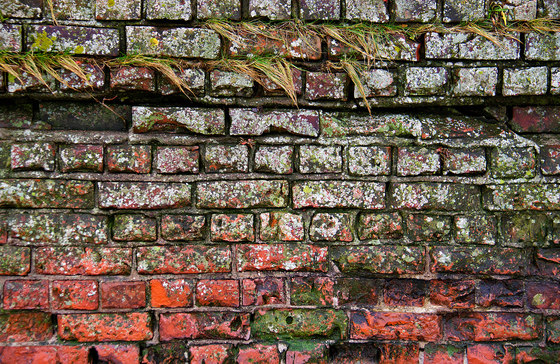Struktures | Walls of brick | Wood panels | wallunica