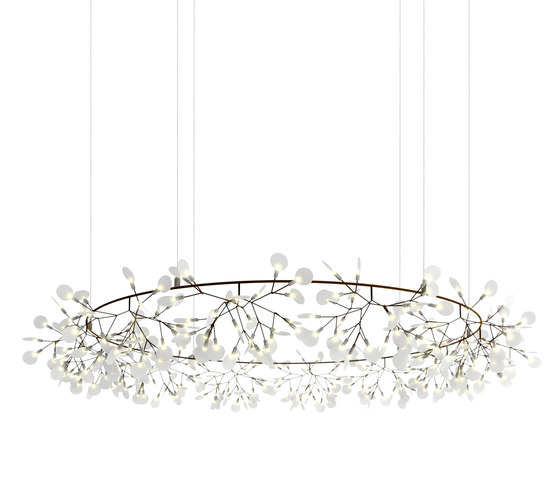 Heracleum The Big O - Big Nickel by moooi | Suspended lights
