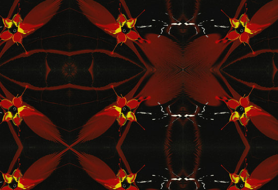 Abstract Backgrounds | Rouge et noir conception abstraite | Panneaux de bois | wallunica