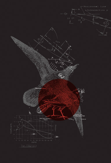 Ilustrations - Wall Art | Bird and formulas science design | Arte | wallunica