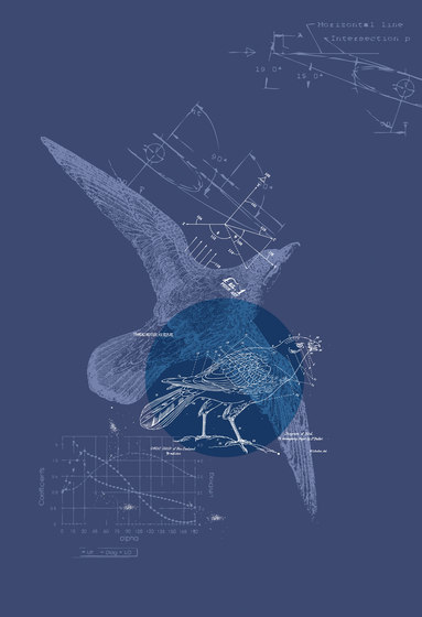 Ilustrations - Wall Art | Conception de la science formules oiseau | Peintures murales / art | wallunica