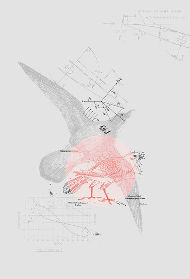 Ilustrations - Wall Art | Bird and formulas science design | Pannelli legno | wallunica