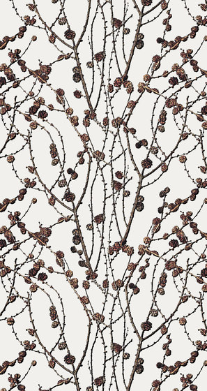 Scandinavian design | Branch design | Wall coverings / wallpapers | wallunica