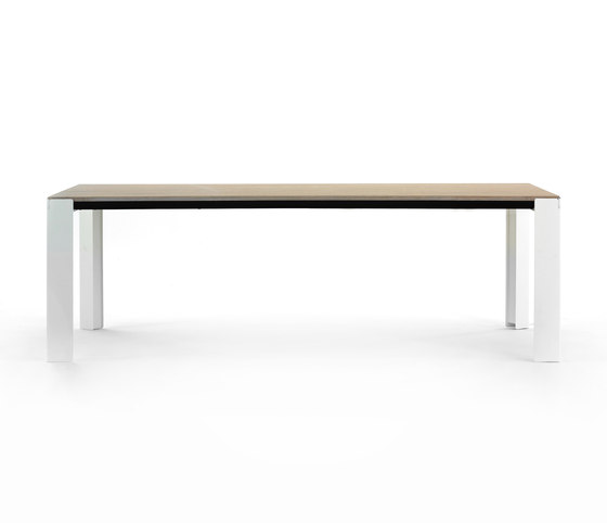 Branch | Dining tables | Arco