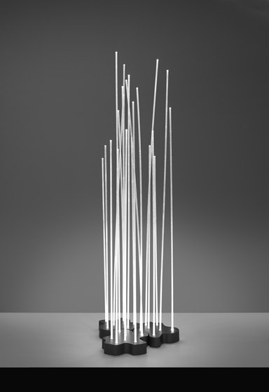 Reeds IP20 Floor | Lámparas de pie | Artemide