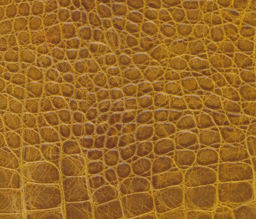 Cayman 04 | Leather tiles | Lapèlle Design