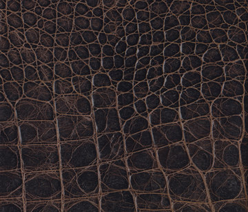 Cayman 06 | Leather tiles | Lapèlle Design