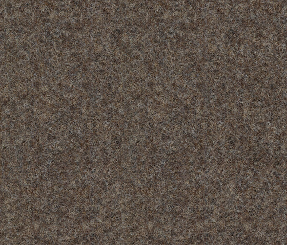 Strong 956-164 | Wall-to-wall carpets | Armstrong