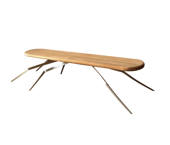 Insect | Benches | Deesawat