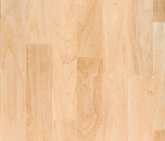 Timberline PUR 373-042 | Vinyl flooring | Armstrong