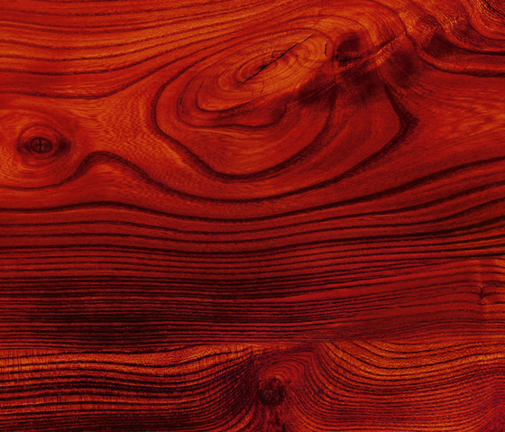 ALUCOBOND® design | Wood | Rubra Ulmus D0003 | Pannelli composto | 3A Composites