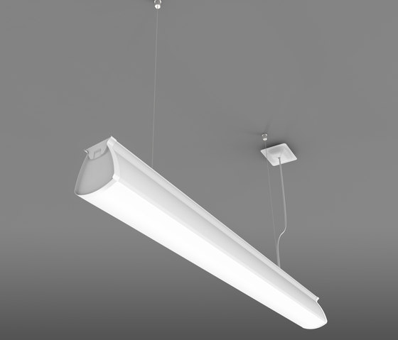 Pina | FO DC /S | Suspended lights | Buck