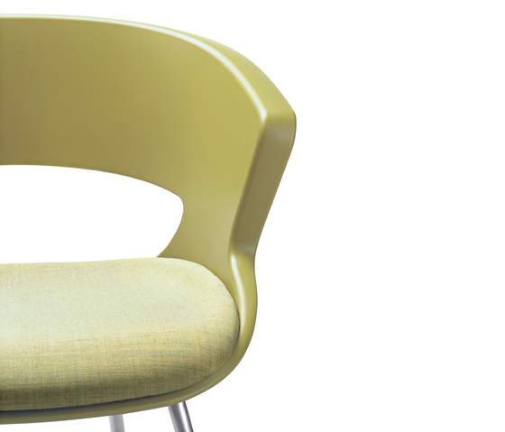 Zed 4 legs in polypropylene | Chairs | Maxdesign