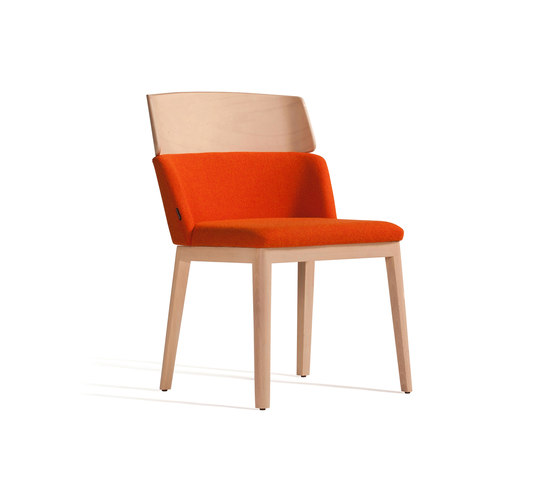 Concord 522 WM | Chairs | Capdell