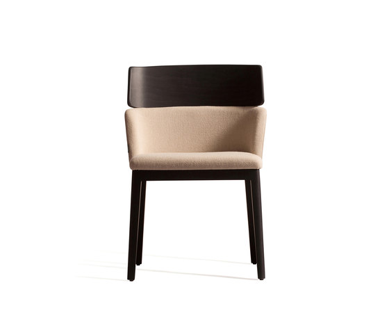 Concord 522 WM | Chairs | Capdell