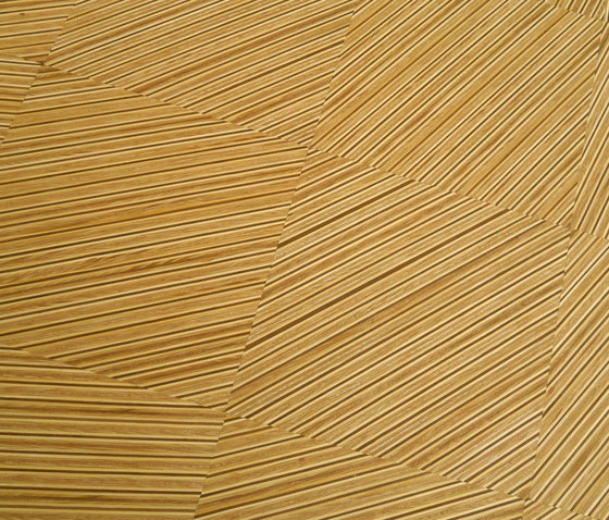 Plexwood - Geometric Pine | Holz Furniere | Plexwood