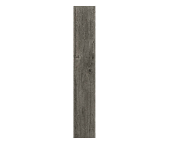 Axi Grey Timber | Carrelage céramique | Atlas Concorde