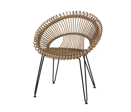 Roxy - Dining Chair | Chaises | Vincent Sheppard