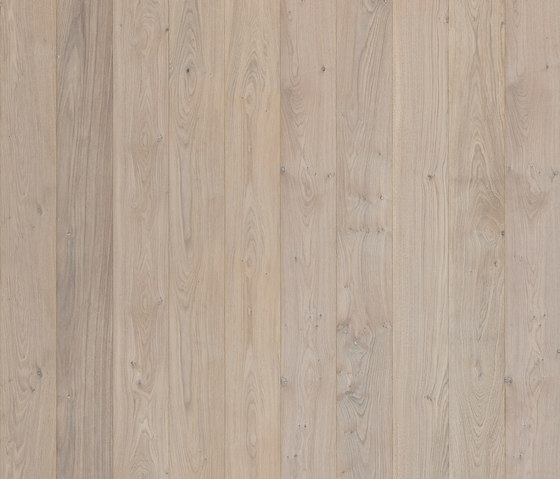 Maxitavole Surfaces C3 | Wood flooring | XILO1934