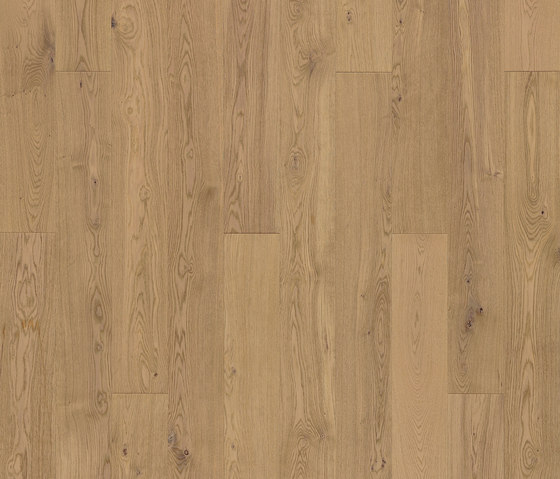 Maxitavole Surfaces C4 | Wood flooring | XILO1934