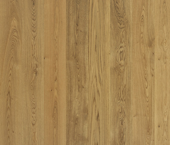 Maxitavole Surfaces C5 | Wood flooring | XILO1934