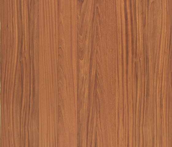 Maxitavole Specials D6 | Pavimenti legno | XILO1934