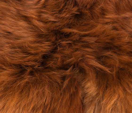 Alpaka | Rugs | a-carpet
