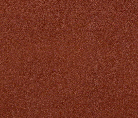 L1010101 | Natural leather | Schauenburg
