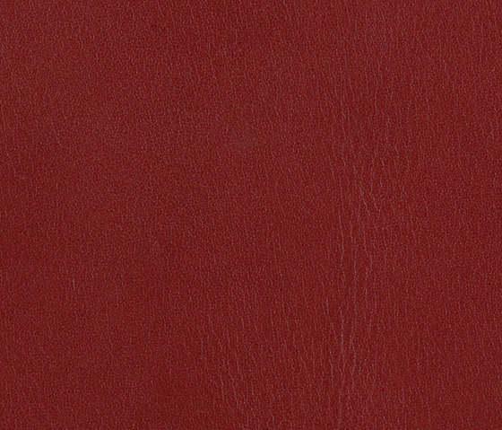 L1010106 | Natural leather | Schauenburg