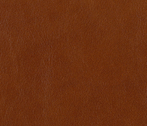L1010107 | Natural leather | Schauenburg