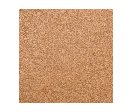 L1010108 | Natural leather | Schauenburg