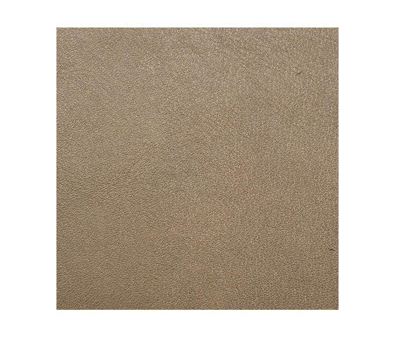 L1010109 | Natural leather | Schauenburg