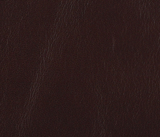 L1010110 | Natural leather | Schauenburg