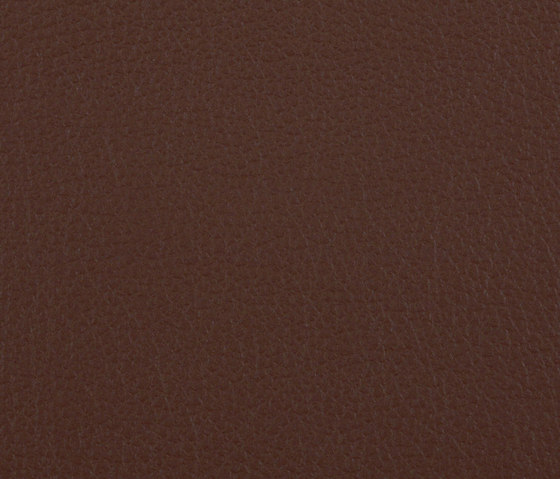 L1020213 | Natural leather | Schauenburg
