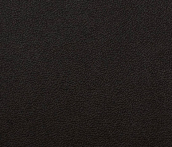 L1020218 | Natural leather | Schauenburg