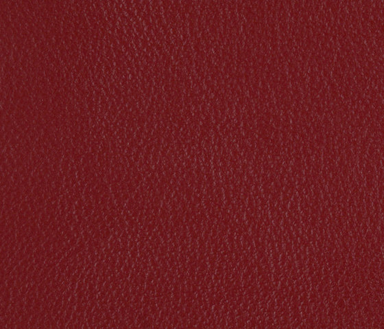 L1020225 | Natural leather | Schauenburg