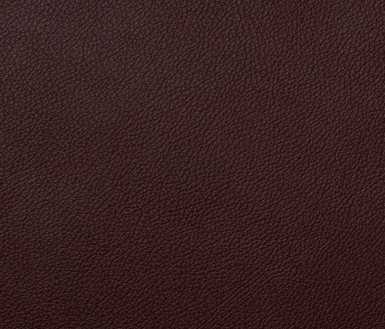 L1020227 | Natural leather | Schauenburg