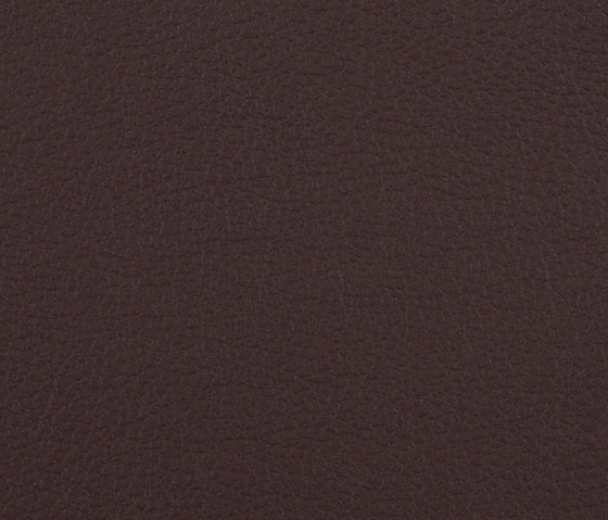 L1020234 | Natural leather | Schauenburg