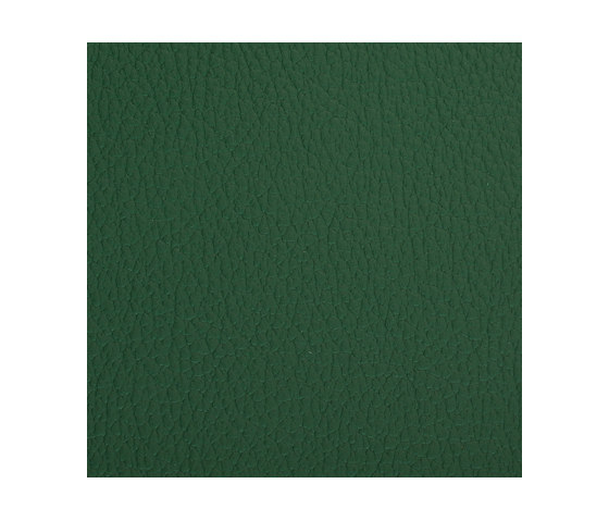L1020238 | Natural leather | Schauenburg