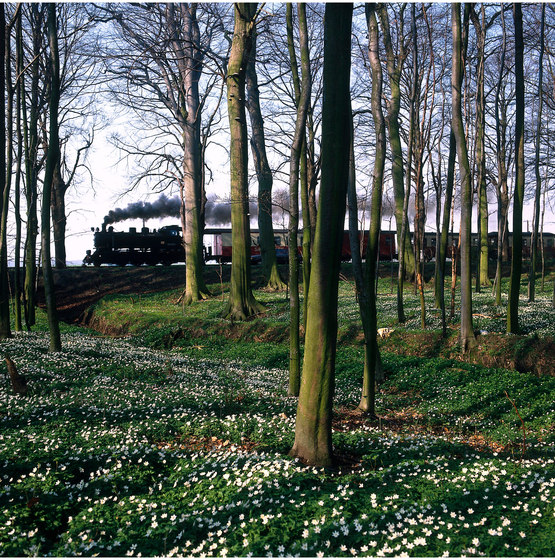 Eisenbahn-Romantik | Die Dampflok "Molli" | Kunststoff Folien | wallunica