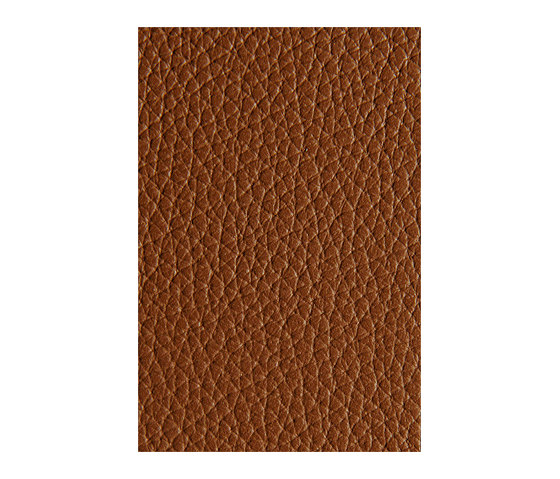 L1040412 | Natural leather | Schauenburg