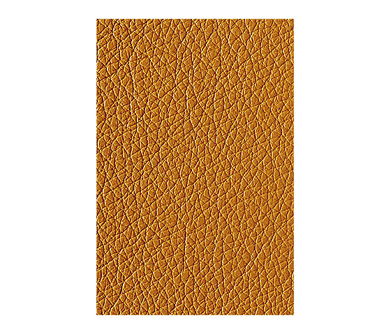 L1040417 | Natural leather | Schauenburg