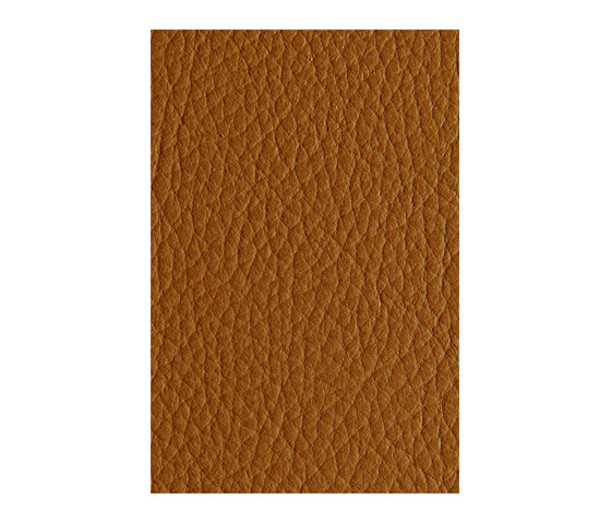 L1040418 | Natural leather | Schauenburg