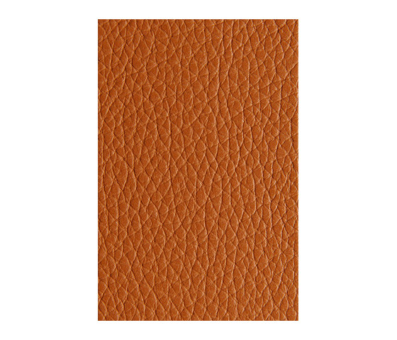 L1040419 | Natural leather | Schauenburg