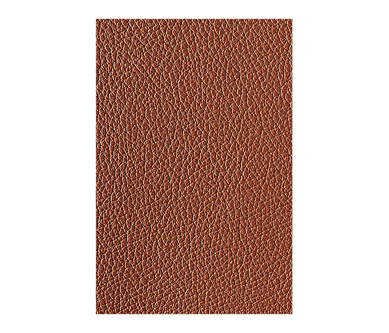 L1040420 | Natural leather | Schauenburg