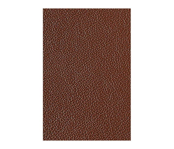 L1040421 | Natural leather | Schauenburg